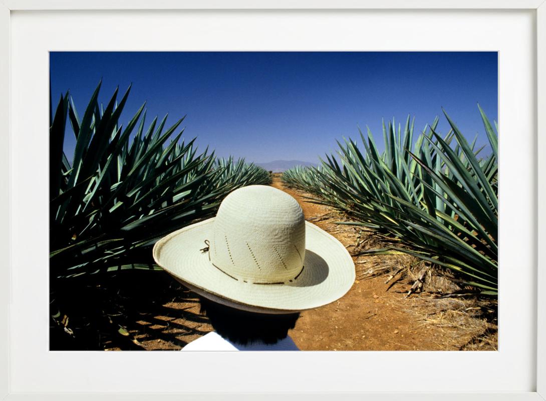 Mezcal, photographie d'art en vente 4