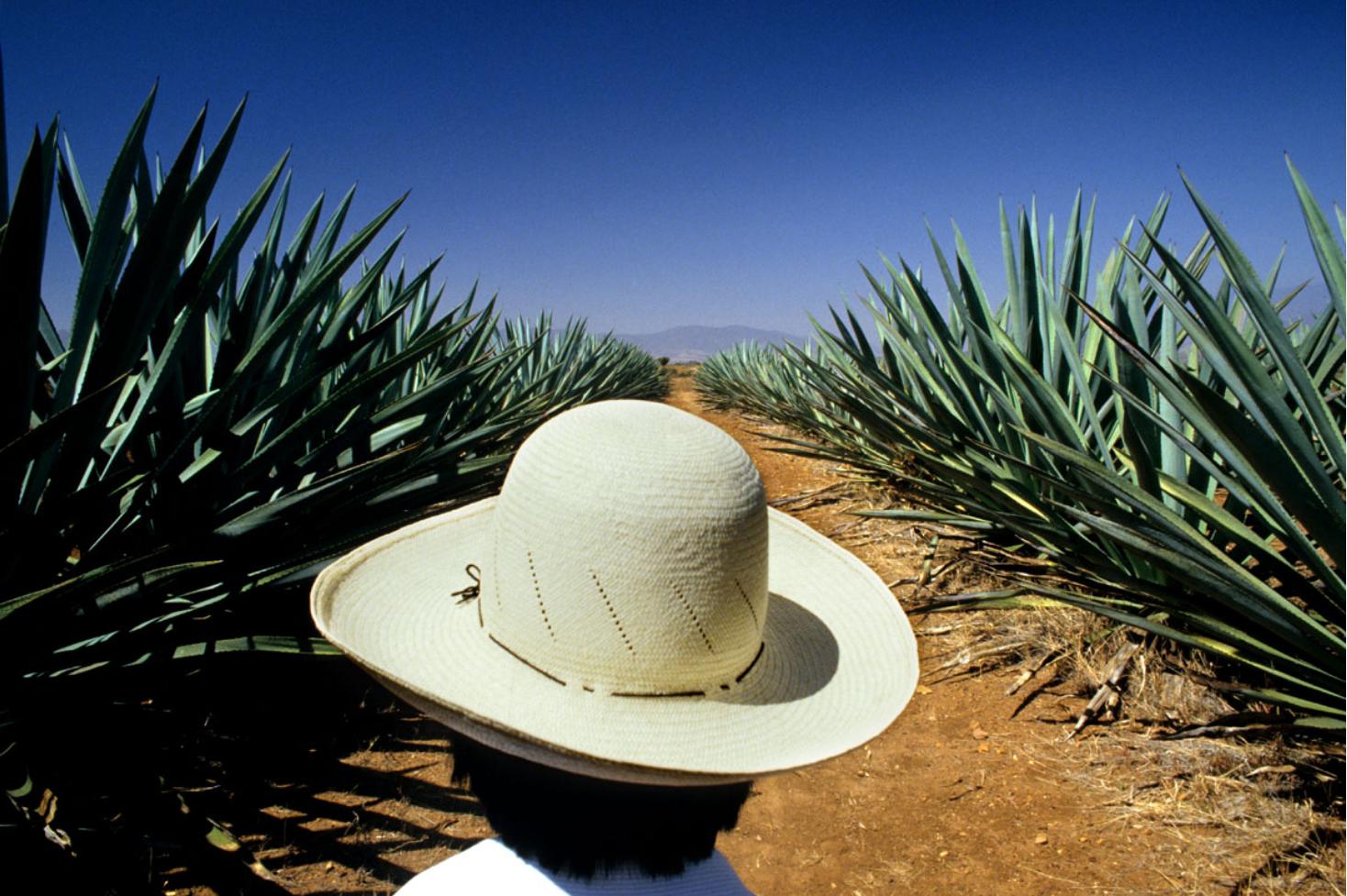 Black and White Photograph Gérard Uféras - Mezcal, photographie d'art