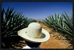 Mezcal - Fotografía artística de edición limitada