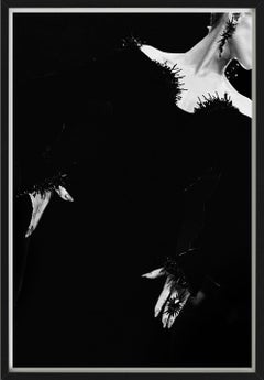 Thierry Mugler, Haute Couture - Limitierte Auflage der Kunstfotografie