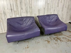 Gerard Van Den Berg Butterfly Chairs