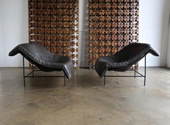 Gerard Van Den Berg Butterfly Chairs