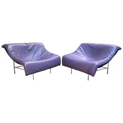 Gerard Van Den Berg Butterfly Chairs