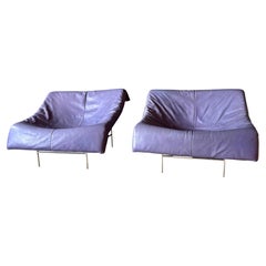 Gerard Van Den Berg Butterfly Chairs