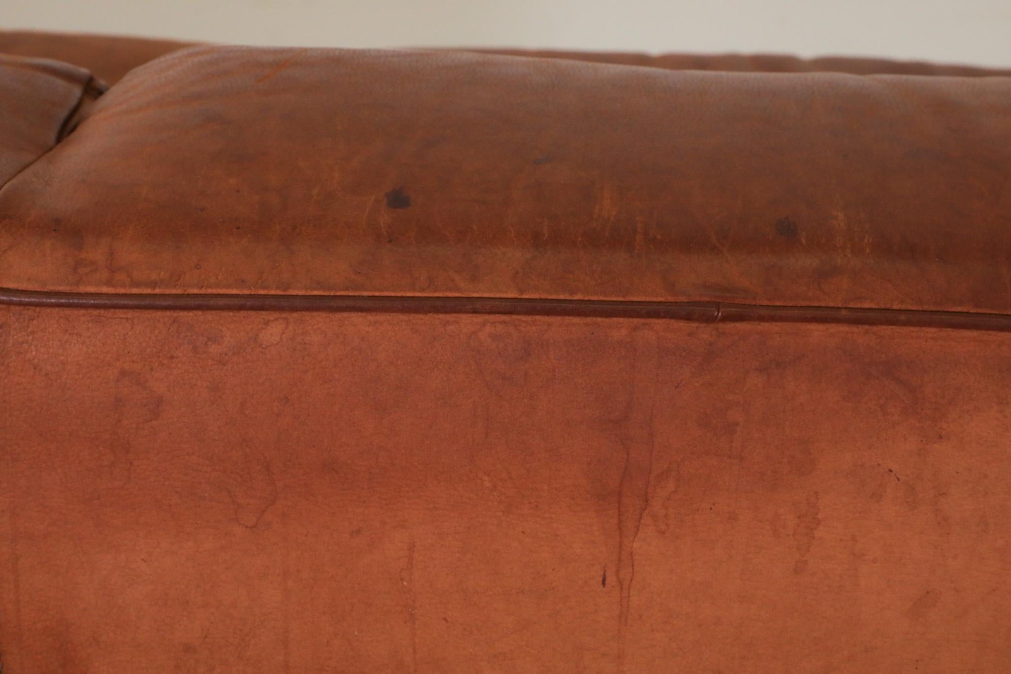 Gerard van den Berg Cognac Leather Soft Form Sofa with Aluminum Legs  For Sale 6