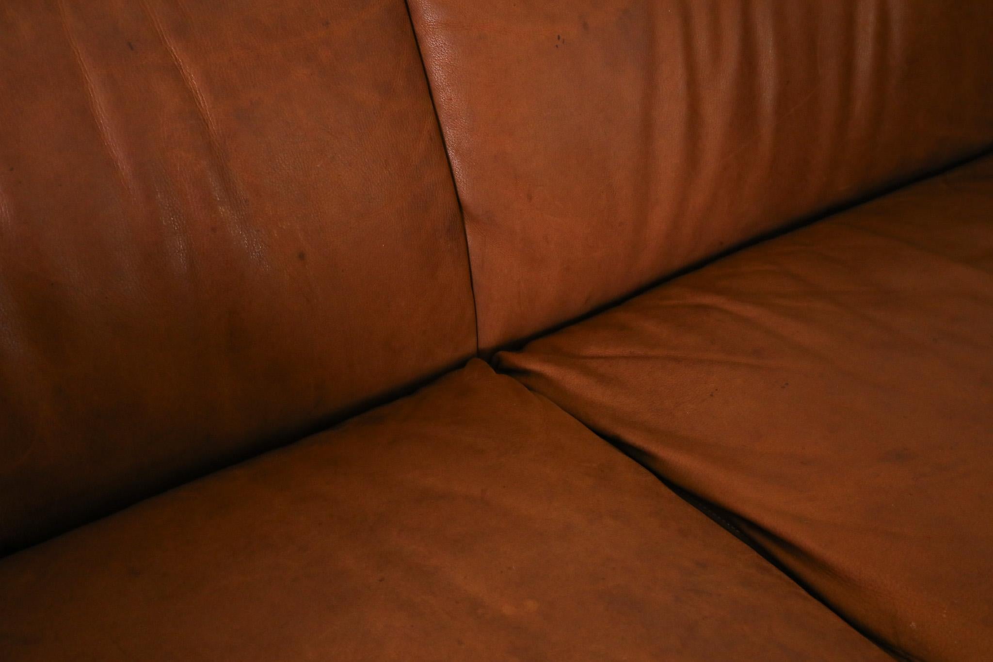 Gerard van den Berg Cognac Leather Soft Form Sofa with Aluminum Legs  9