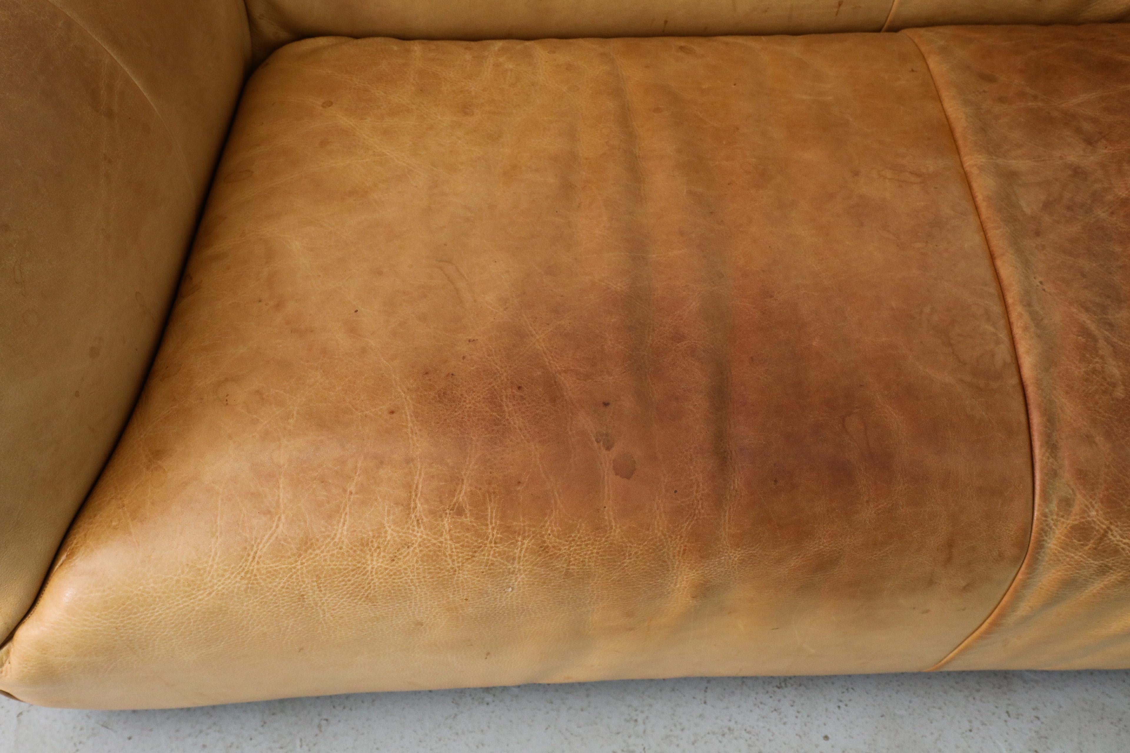 Gerard van den Berg „Havanna“ Leder Loveseat aus Leder im Stil von Mario Bellini 7