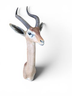 Gerenuk (Litocranius walleri) Shoulder Mount by Rowland Ward, London