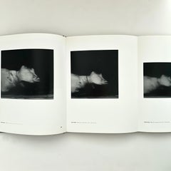 Gerhard Richter: October 18, 1977 - Robert Storr - 1st Edition, New York, 2000