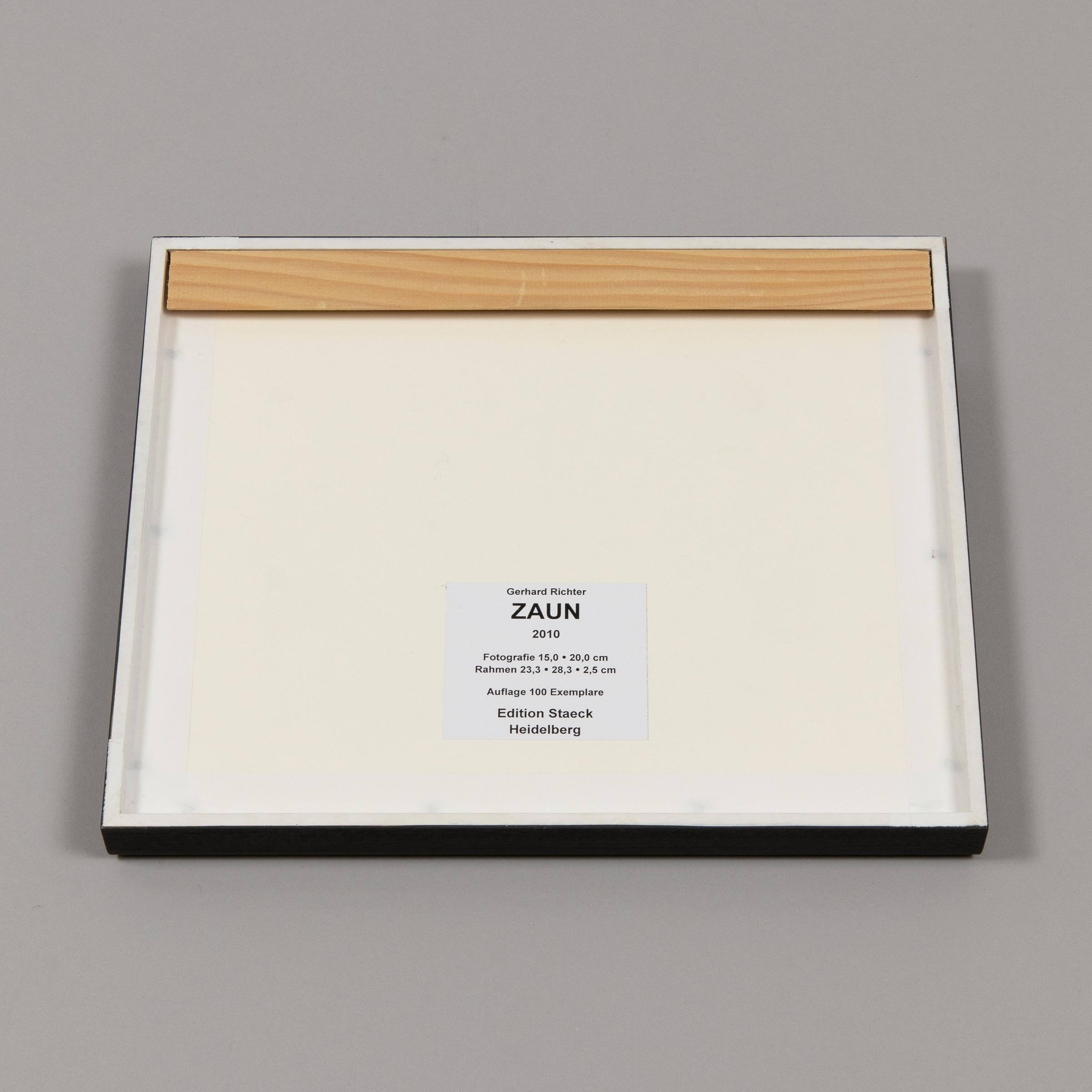 Gerhard Richter, Zaun: Hand-signed Color Photograph, in Artist's Frame For Sale 3