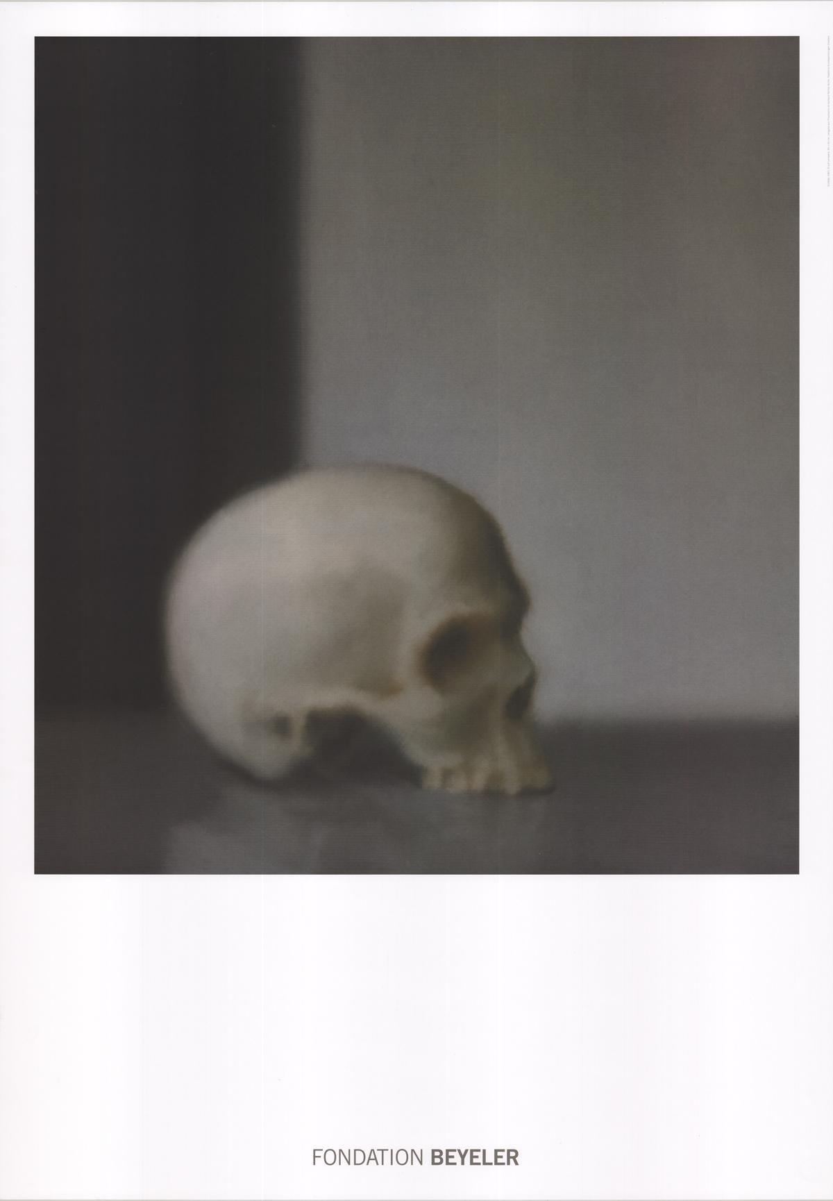 Gerhard Richter-Schadel (Skull)-39.5" x 27.5"-Poster-Contemporary-Gray
