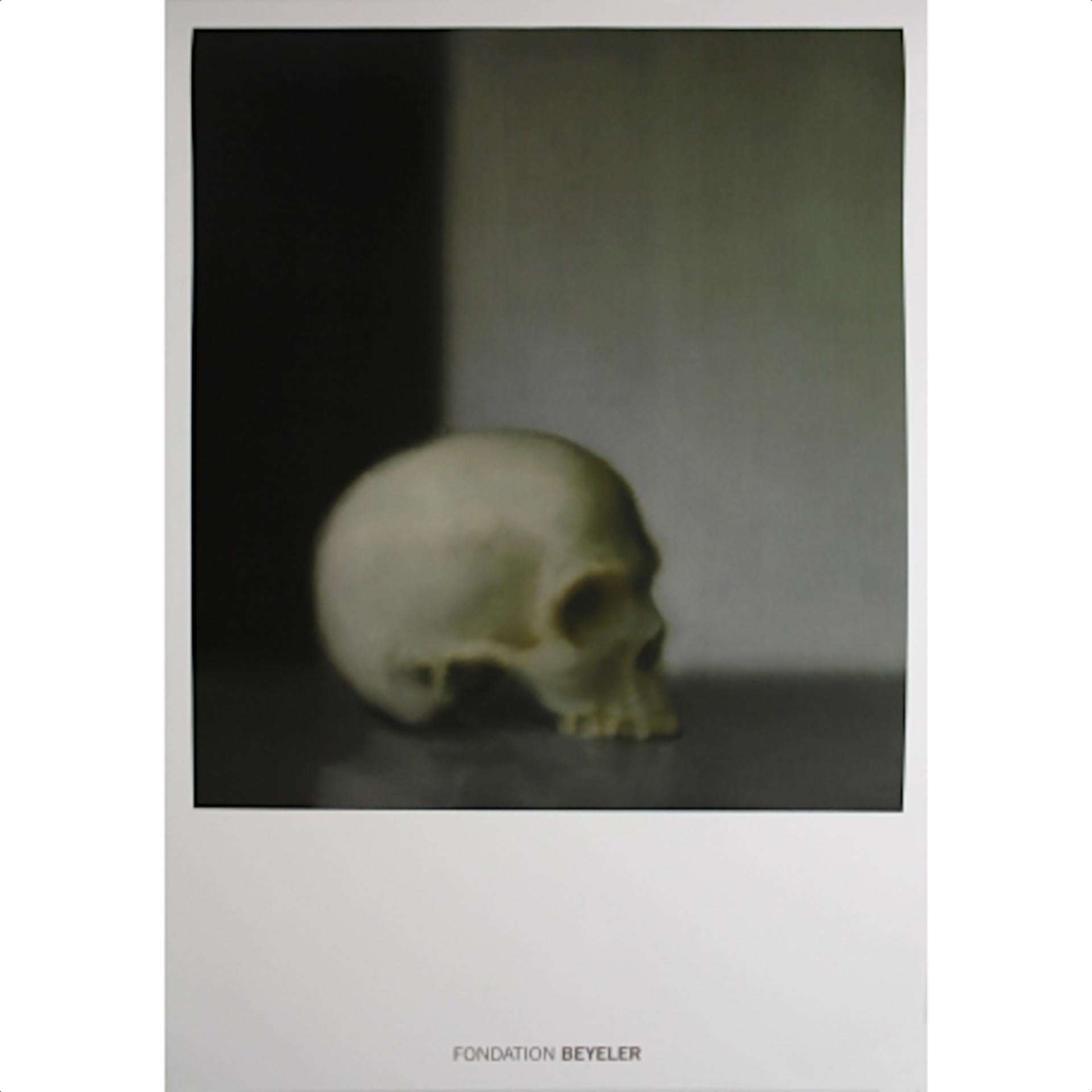 Gerhard Richter - "Skull" - unique color offset lithography