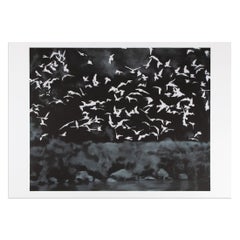 Gerhard Richter - Vögel
