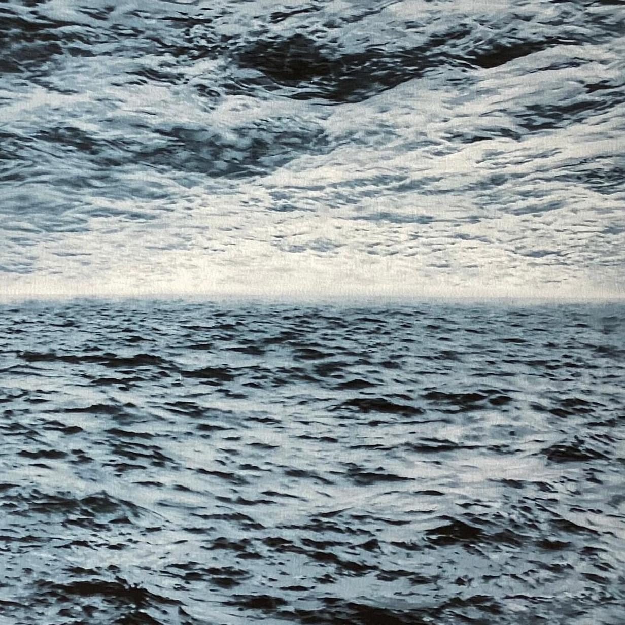 Paesaggio marino di Gerhard Richter in vendita 3