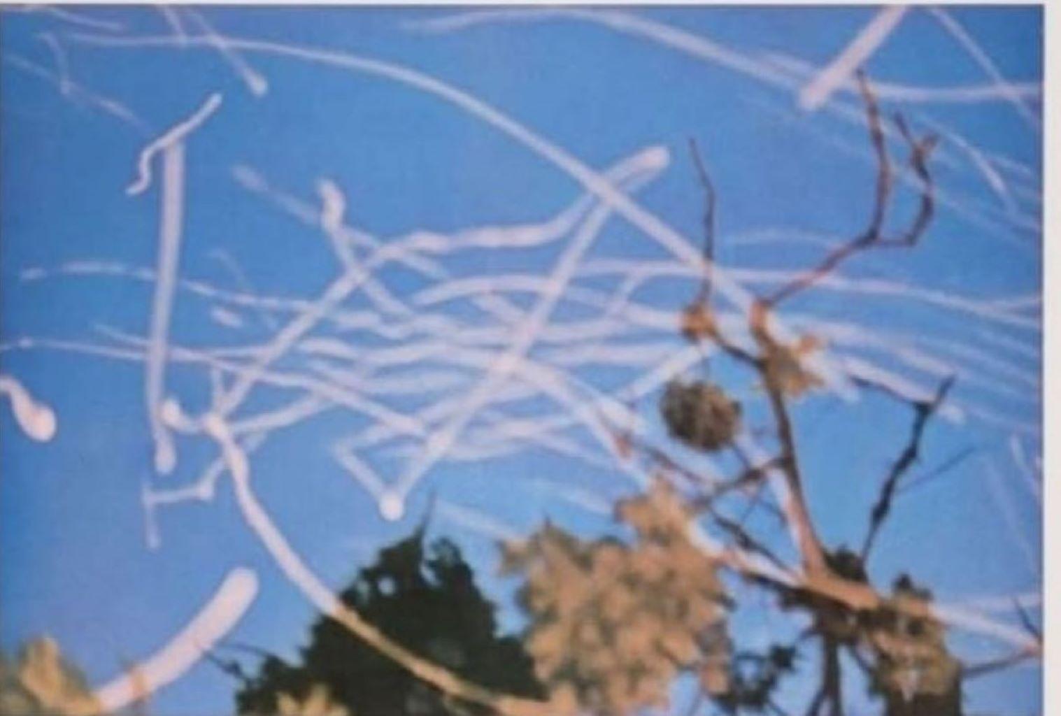 Sparks By Gerhard Richter For Sale 2