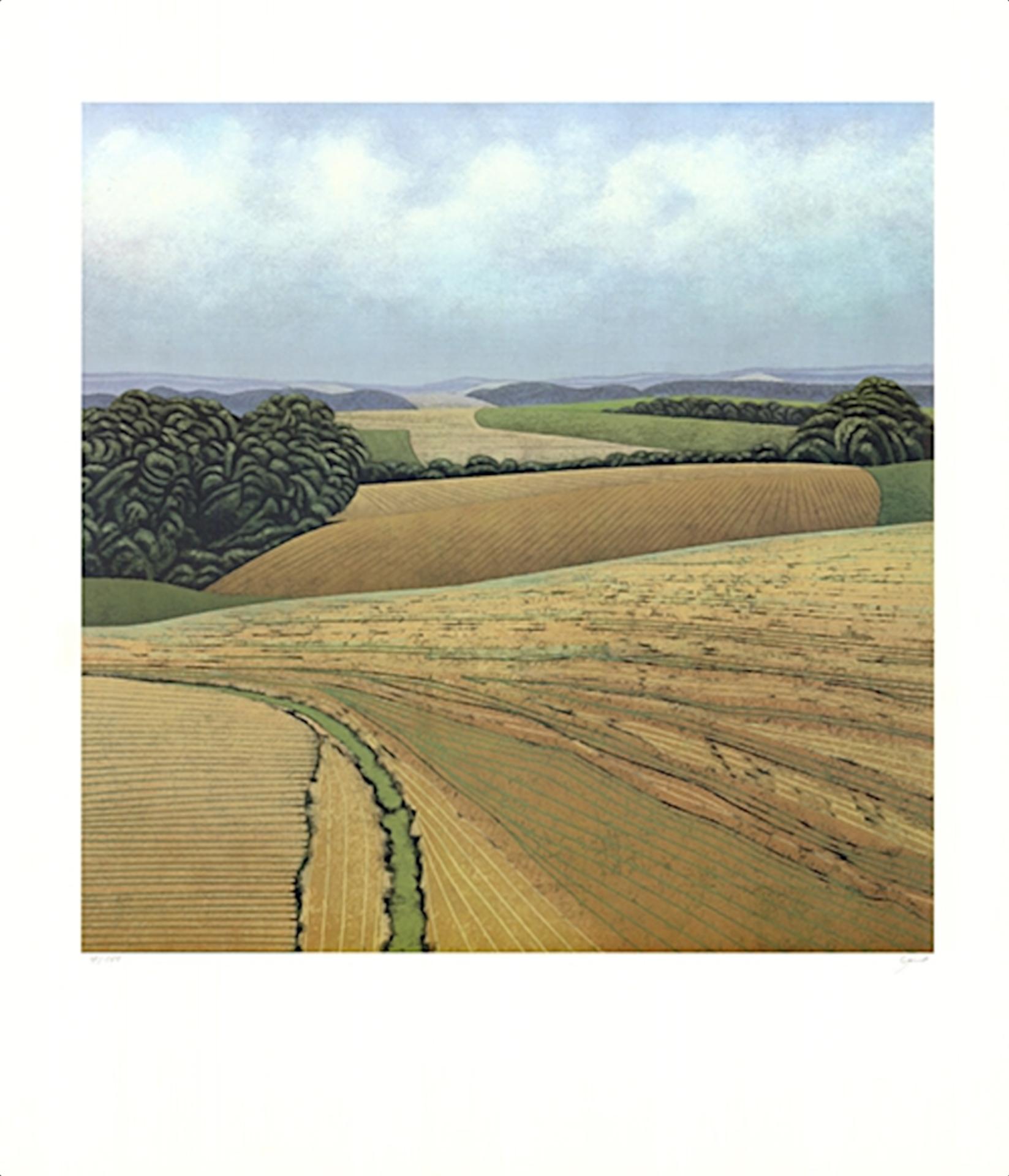 Gerhard Taubert - "Paesaggio collinare" - litografia offset a colori