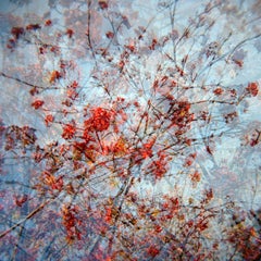 Maisemaa - Finnish Landscapes - 21st Century Landscape Color Photography