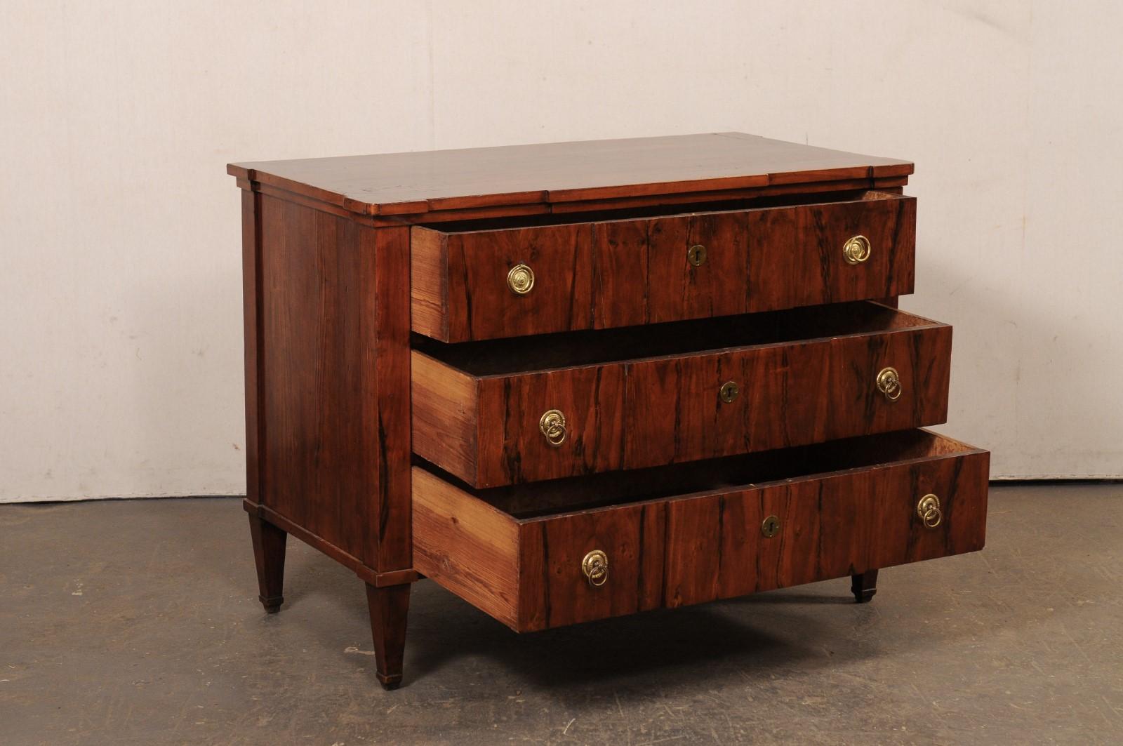Tedesco Cassapanca German del XIX secolo con design/One, impiallacciatura ricca e ferramenta in ottone in vendita