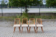 German 50ties Mid Century Dining Chair Set of 4