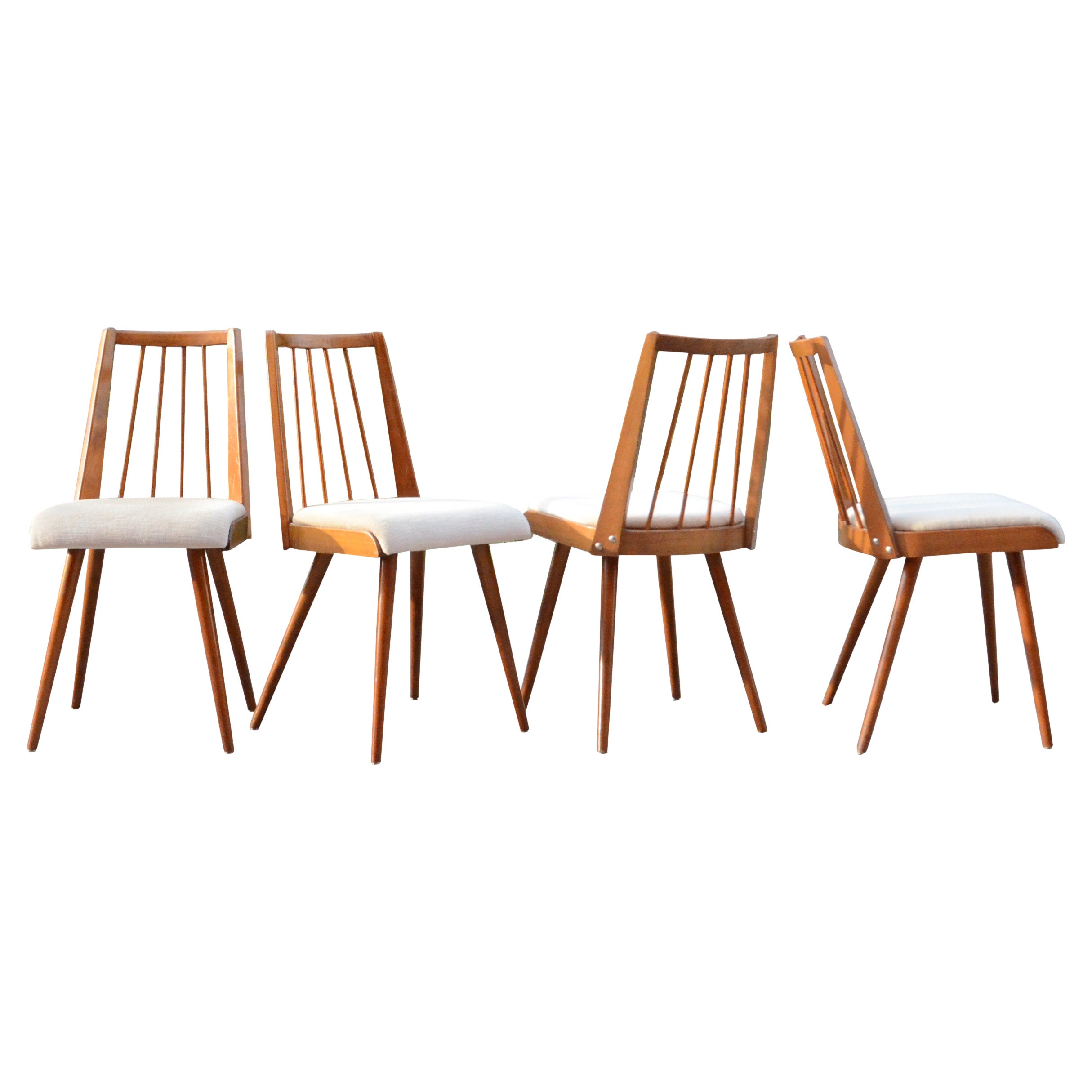 Ensemble de 4 chaises de salle à manger allemandes du milieu du siècle dernier, années 50