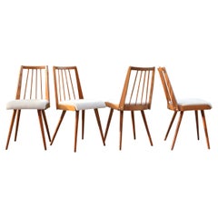Ensemble de 4 chaises de salle à manger allemandes du milieu du siècle dernier, années 50