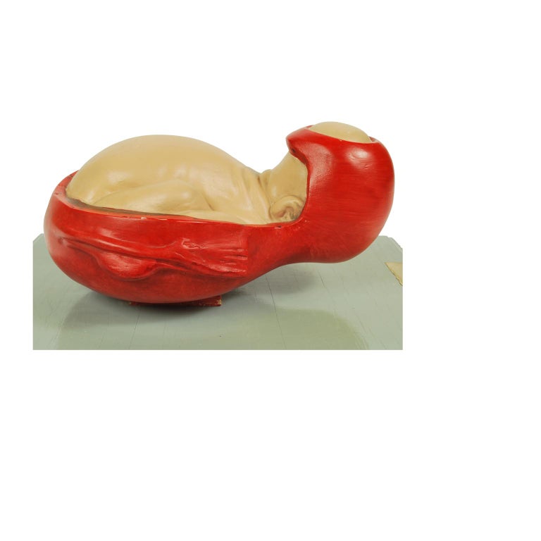 German Anatomic Model of Baby Birthing 1940s at 1stDibs