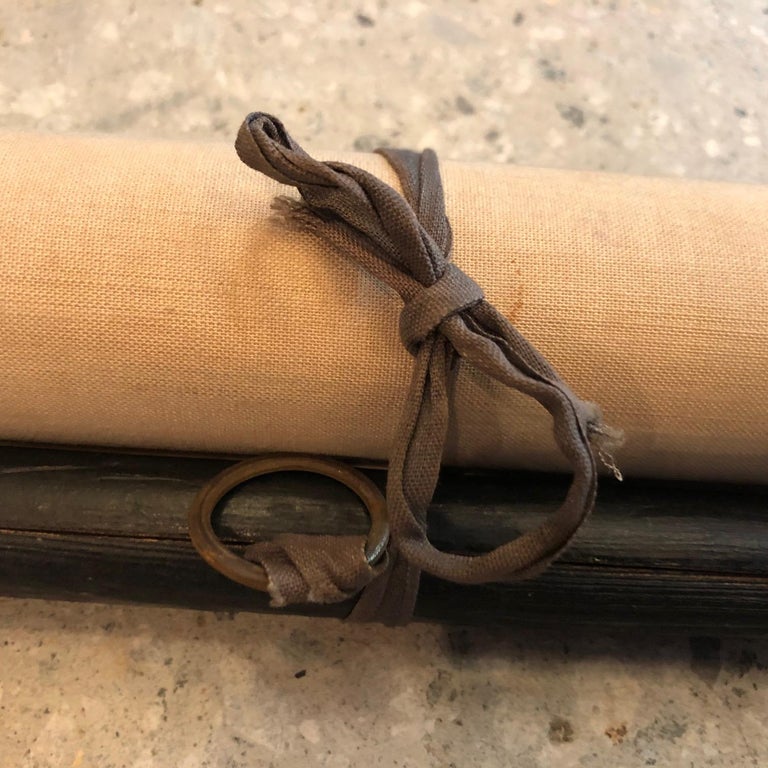 German Anatomical Educational Endocrine System Chart For Sale at 1stDibs