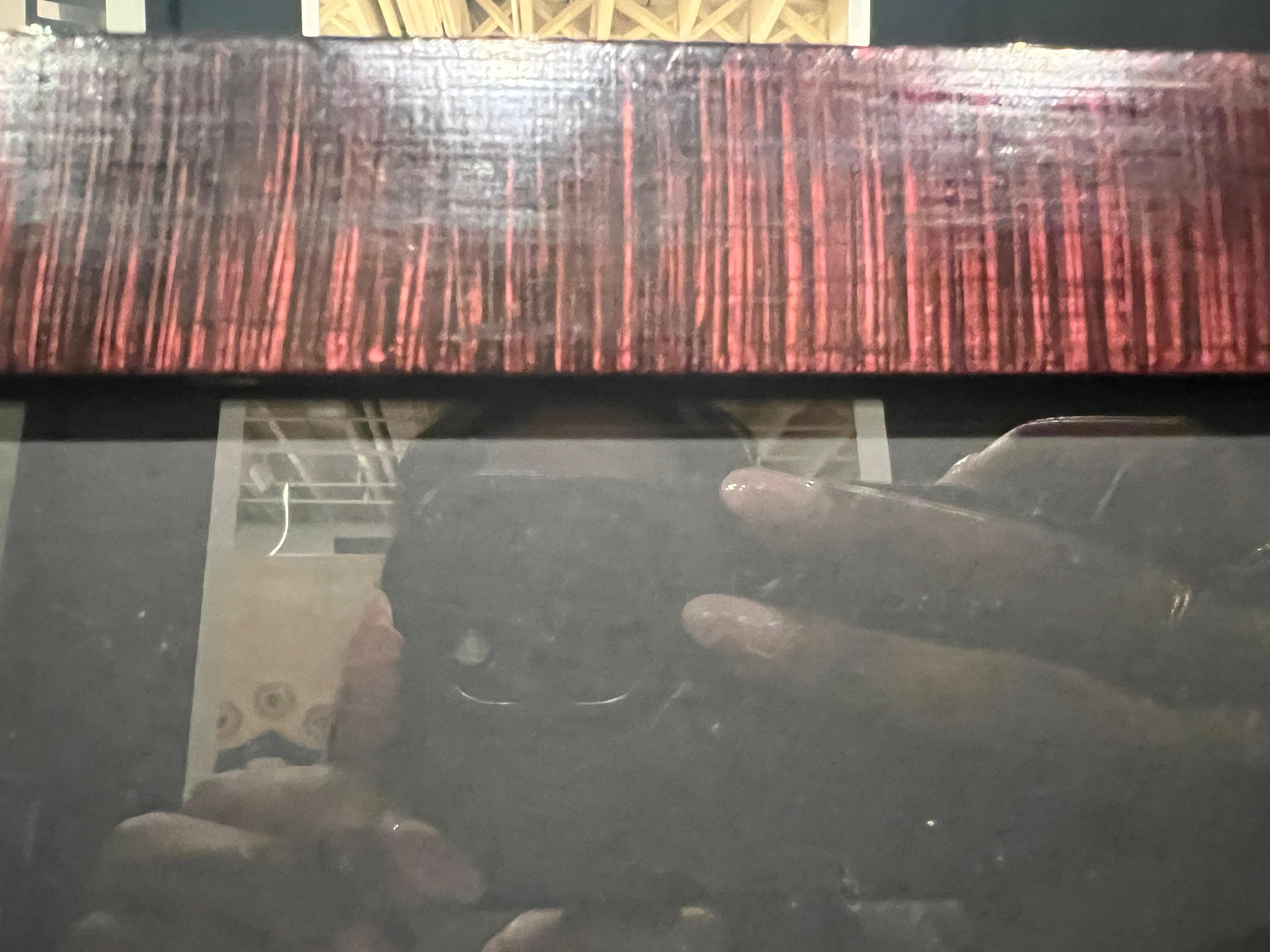 Deutsche anatomische medizinische antike Lithographie in Vintage-Rahmen im Angebot 4
