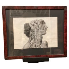 German anatomical medical Antique lithograph in vintage frame