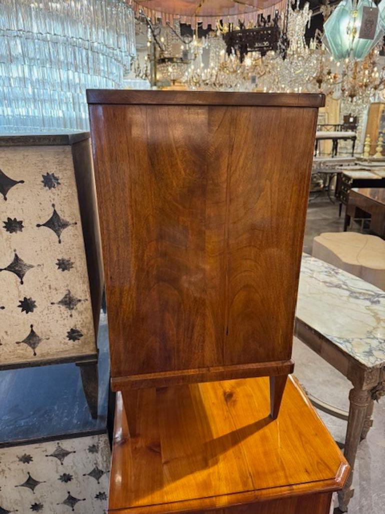 German Beidermeier Walnut Chest 1
