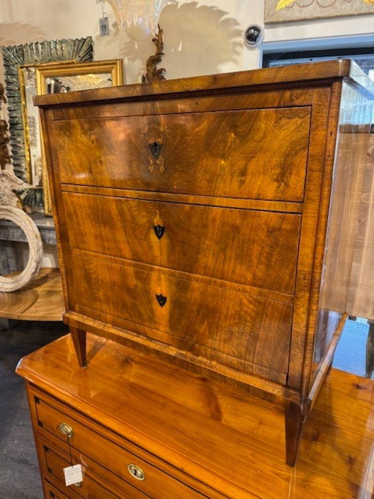 German Beidermeier Walnut Chest 5