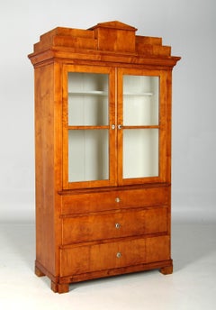 German Biedermeier Bookcase, Vitrine, circa 1830