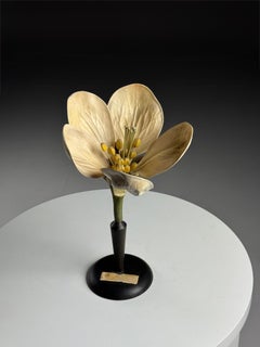 German botanical flower model, c. 1900