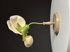 German botanical flower model, c. 1900