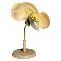 German botanical flower model, c. 1900