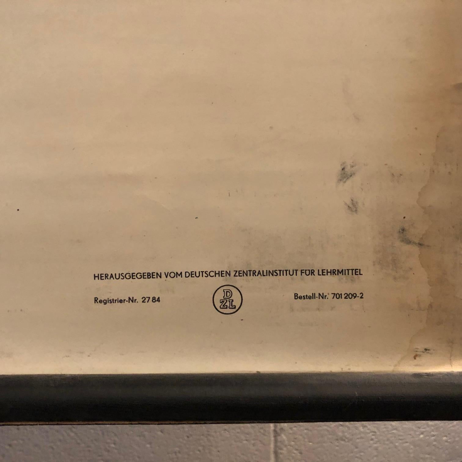 Tableau d'enseignement allemand en polypographie zoologique d'eau douce en vente 3