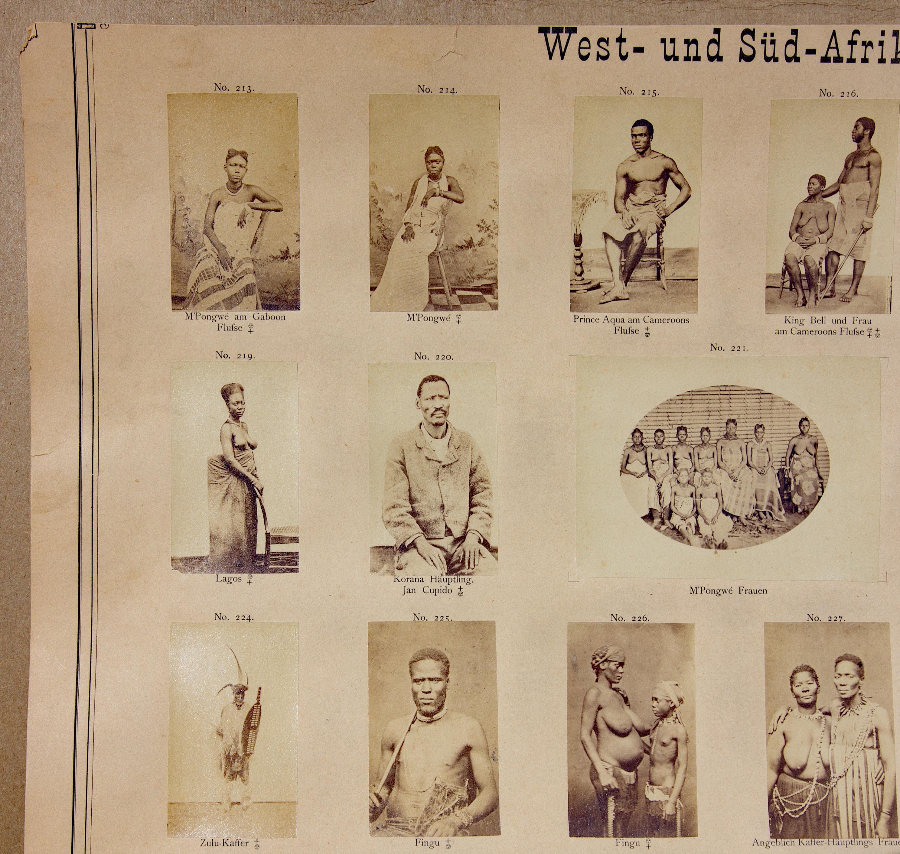 Deutsche ethnografische Studie des südafrikanischen Stammesvolkes, ca. 1870er Jahre (Papier) im Angebot