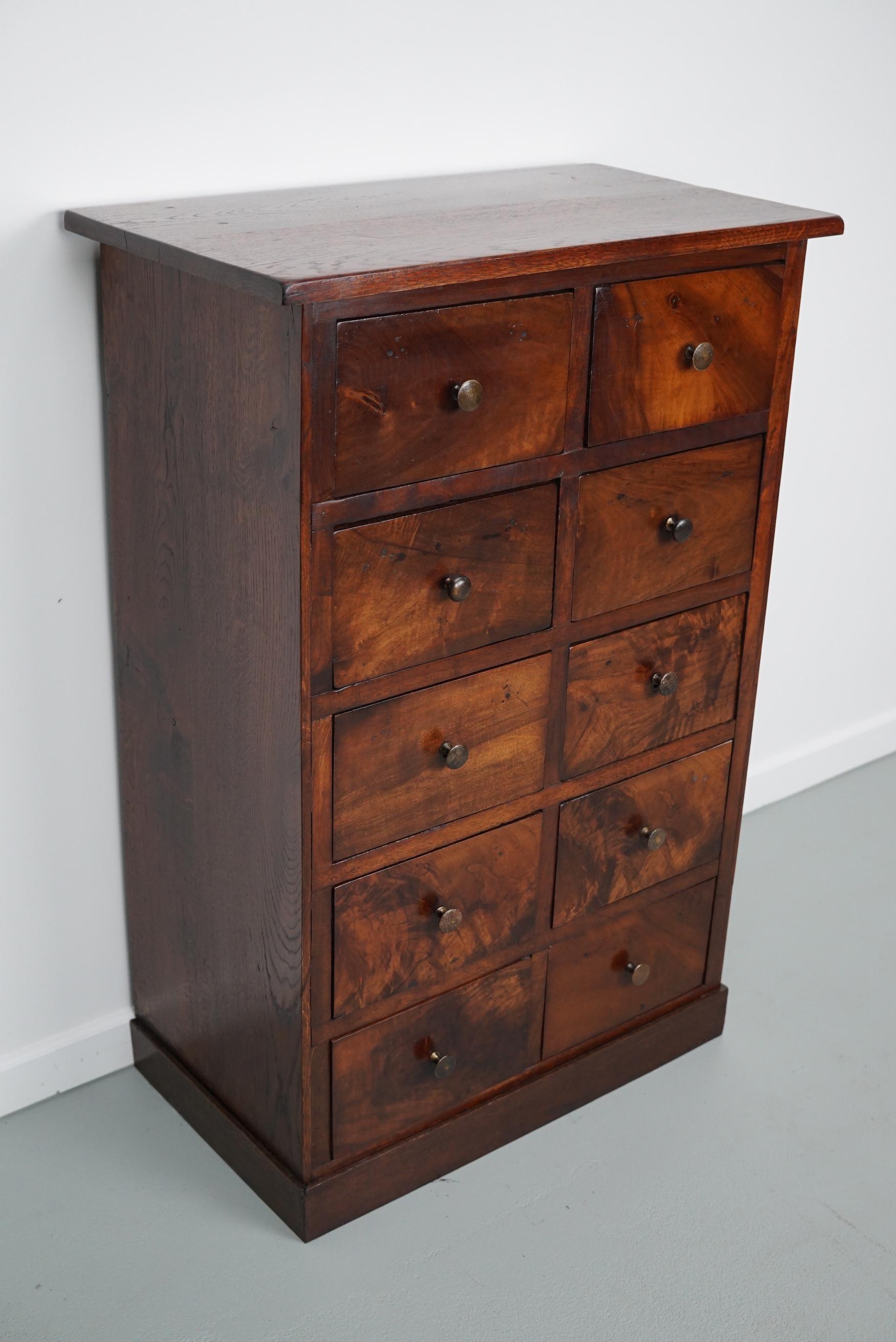 Industrial German Flower Mahogany Apothecary Cabinet, 19th Century