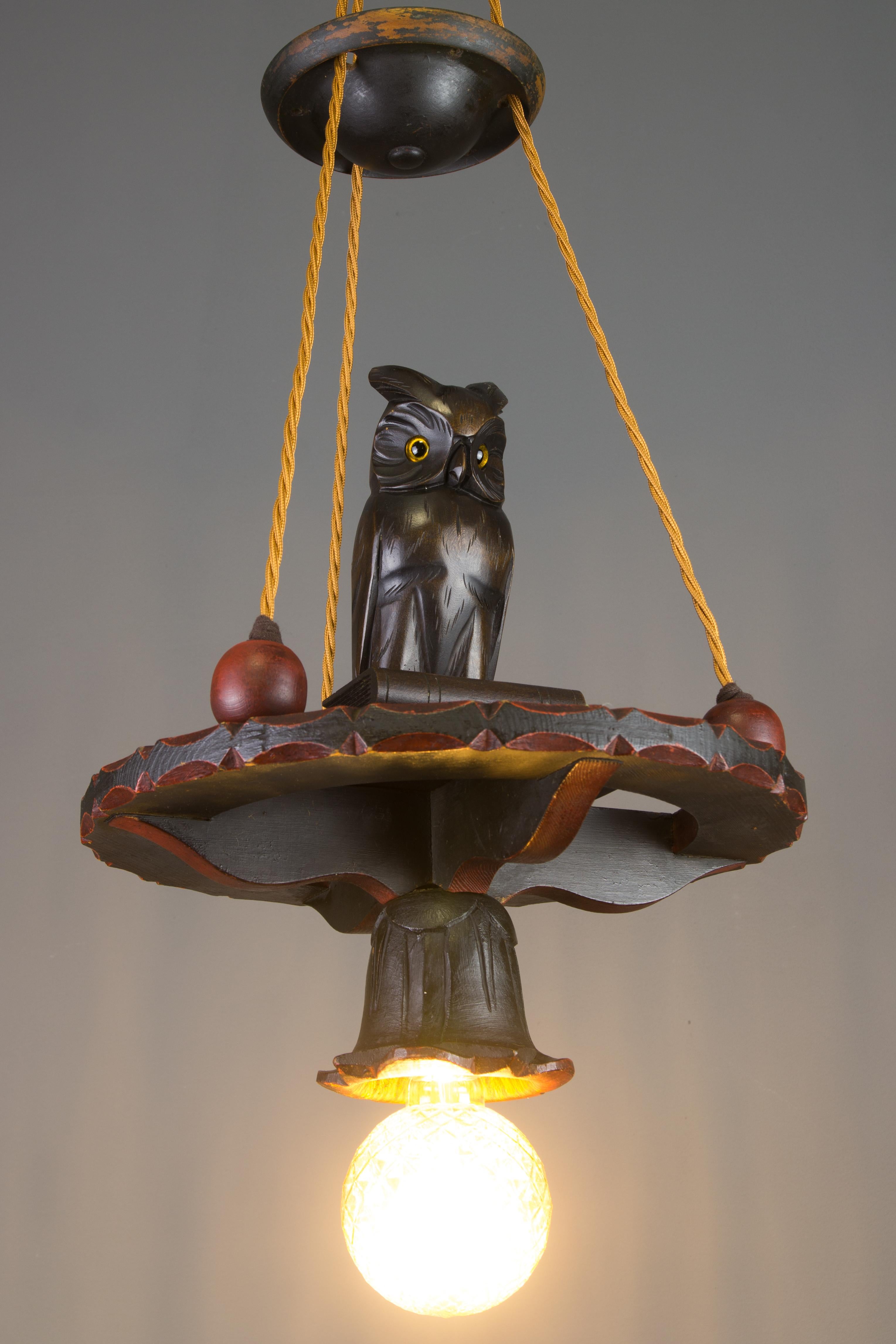 German Hand Carved Wooden Pendant Light Chandelier with Owl Sculpture, 1920s 13