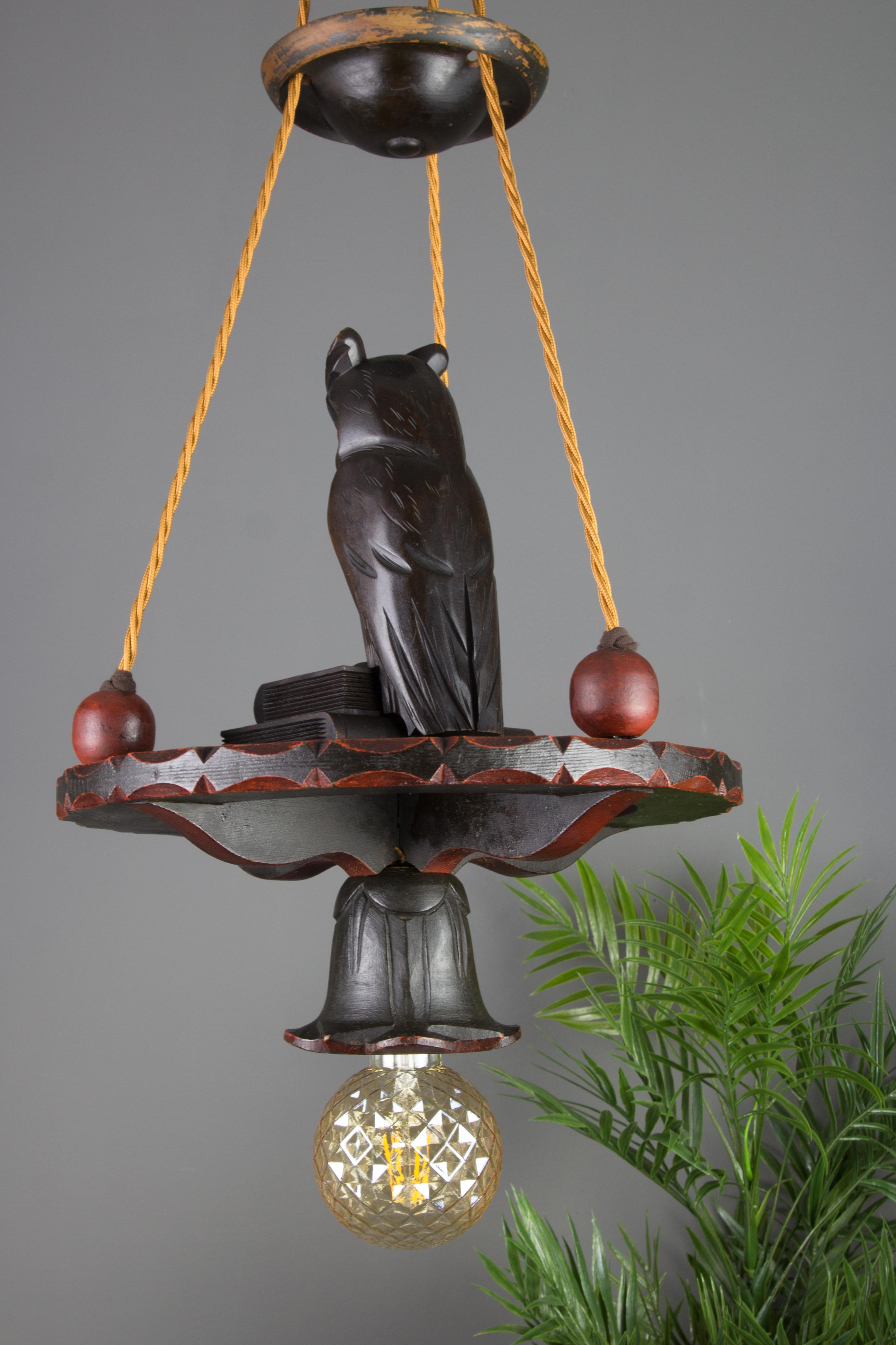 Hand-Carved German Hand Carved Wooden Pendant Light Chandelier with Owl Sculpture, 1920s