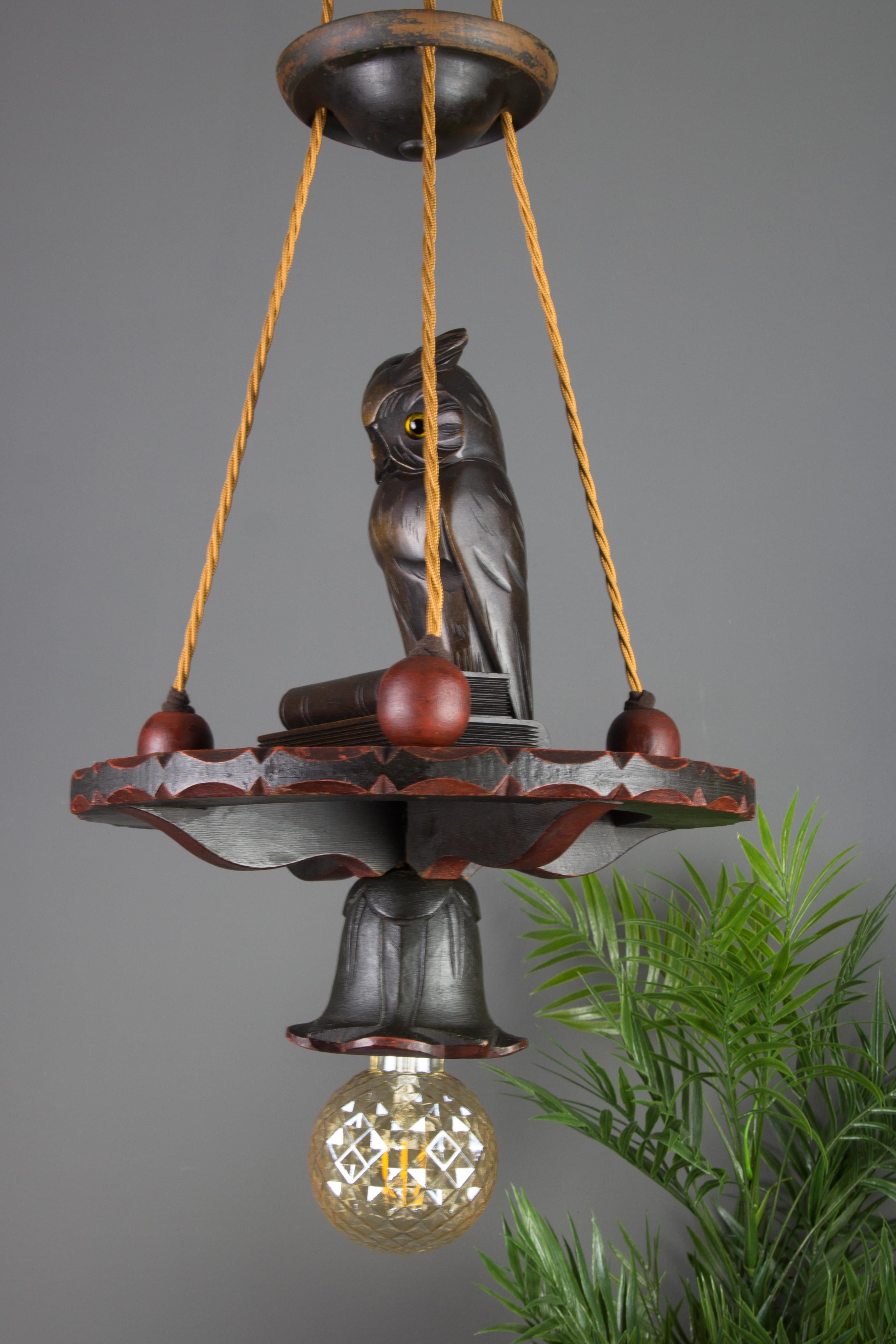 Early 20th Century German Hand Carved Wooden Pendant Light Chandelier with Owl Sculpture, 1920s