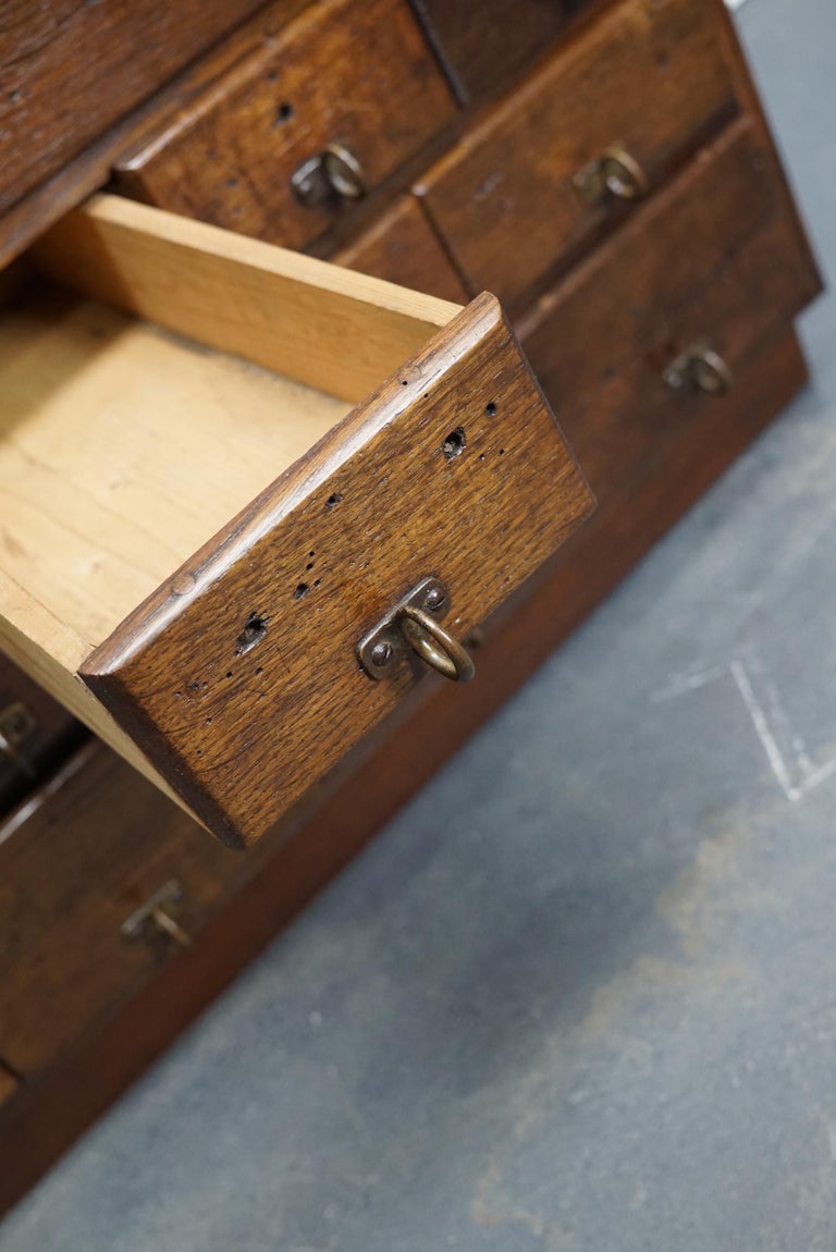 German Industrial Oak and Pine Apothecary Cabinet, 1930s For Sale 11