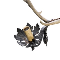 German Lusterweibchen Chandelier