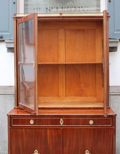German Mahogany Display Cabinet, 19th Century