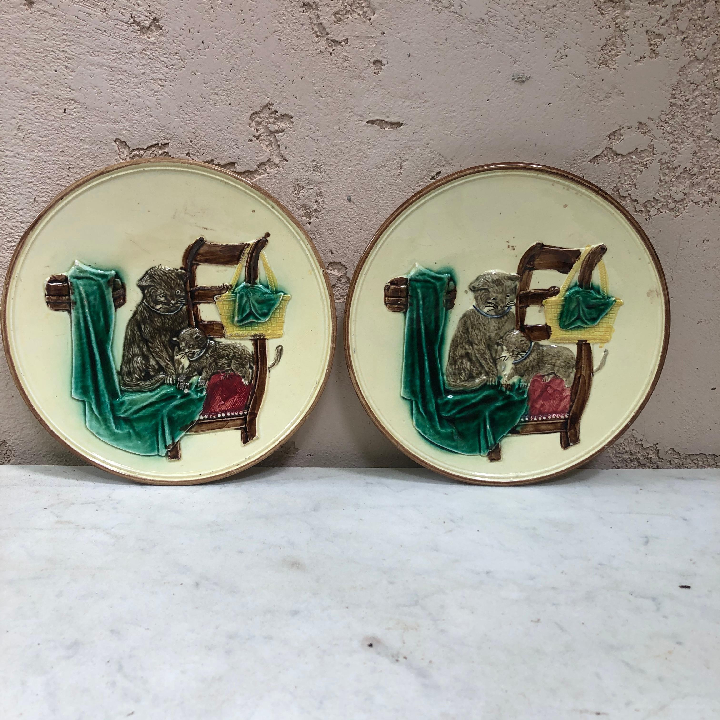 Country German Majolica Cat Wall Plate, circa 1900 For Sale