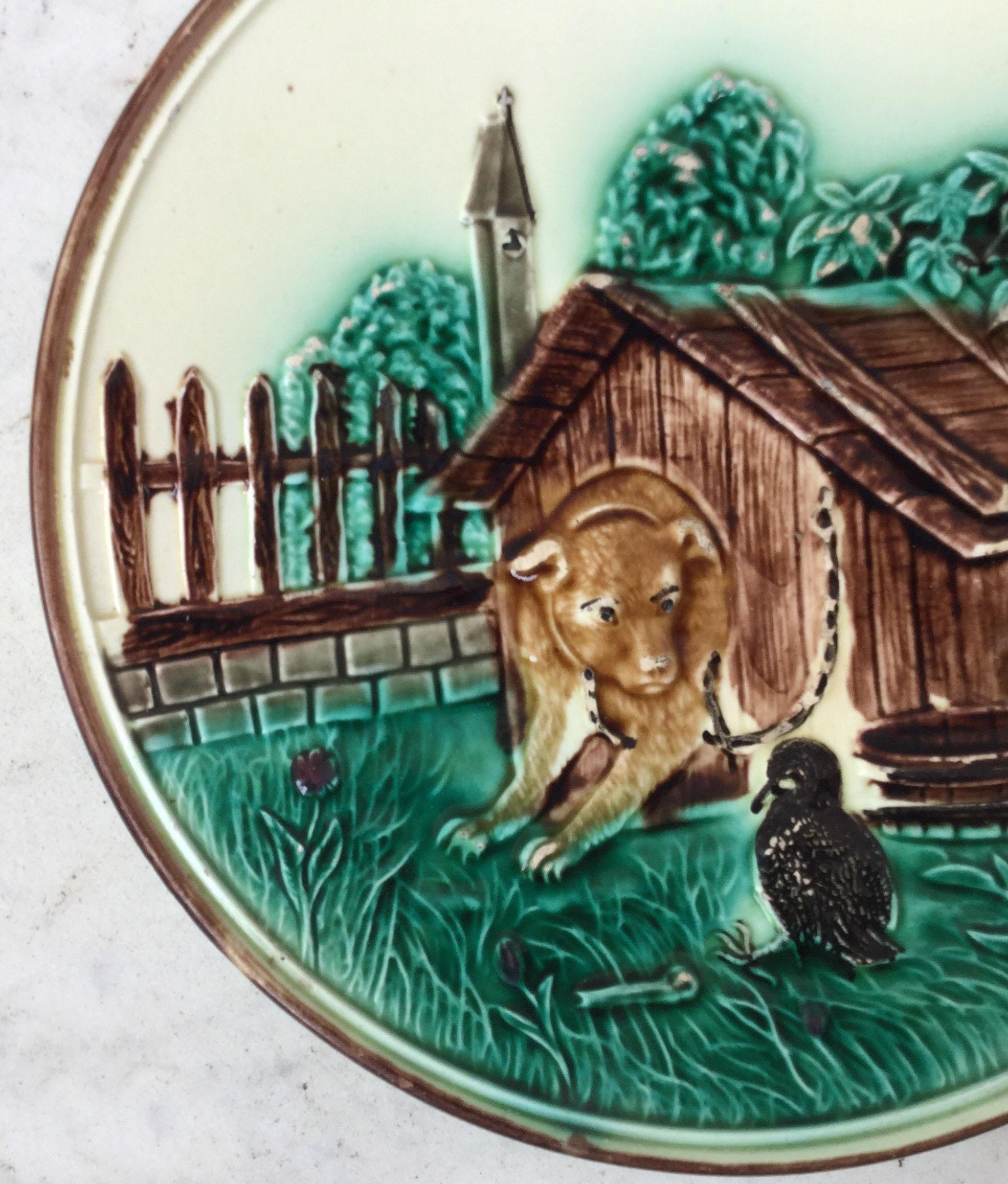 German Majolica dog on his kennel wall plate, circa 1900.