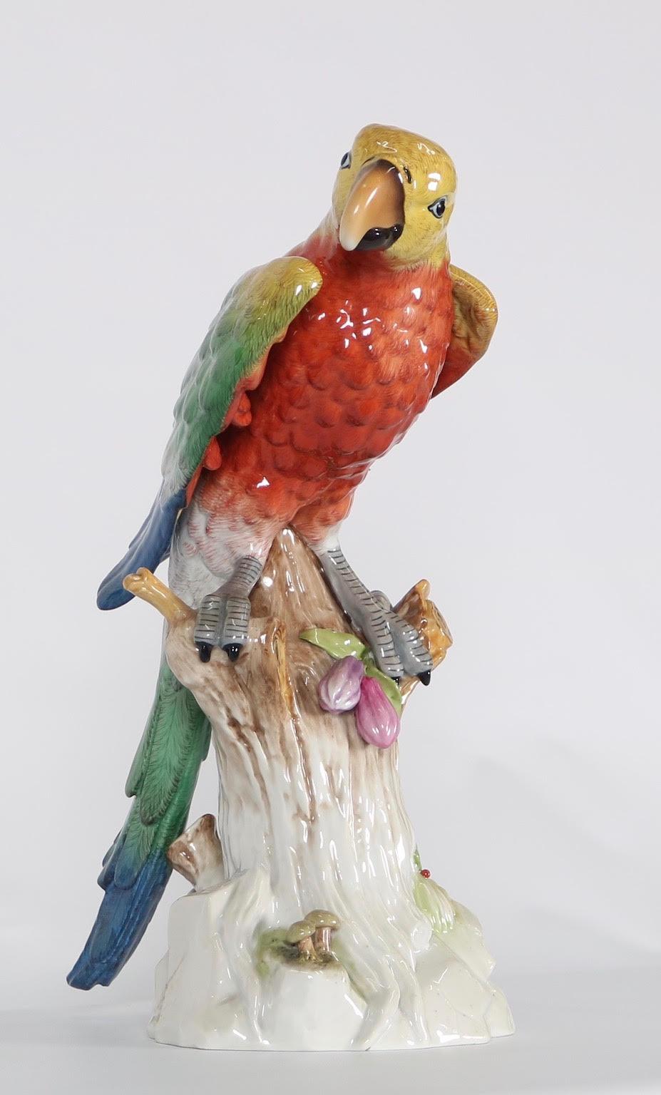 meissen parrot