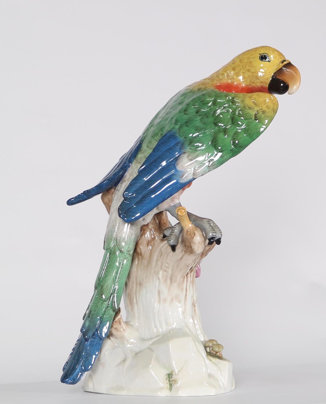 German Meissen Style Porcelain Macaw Parrot Figurine 2
