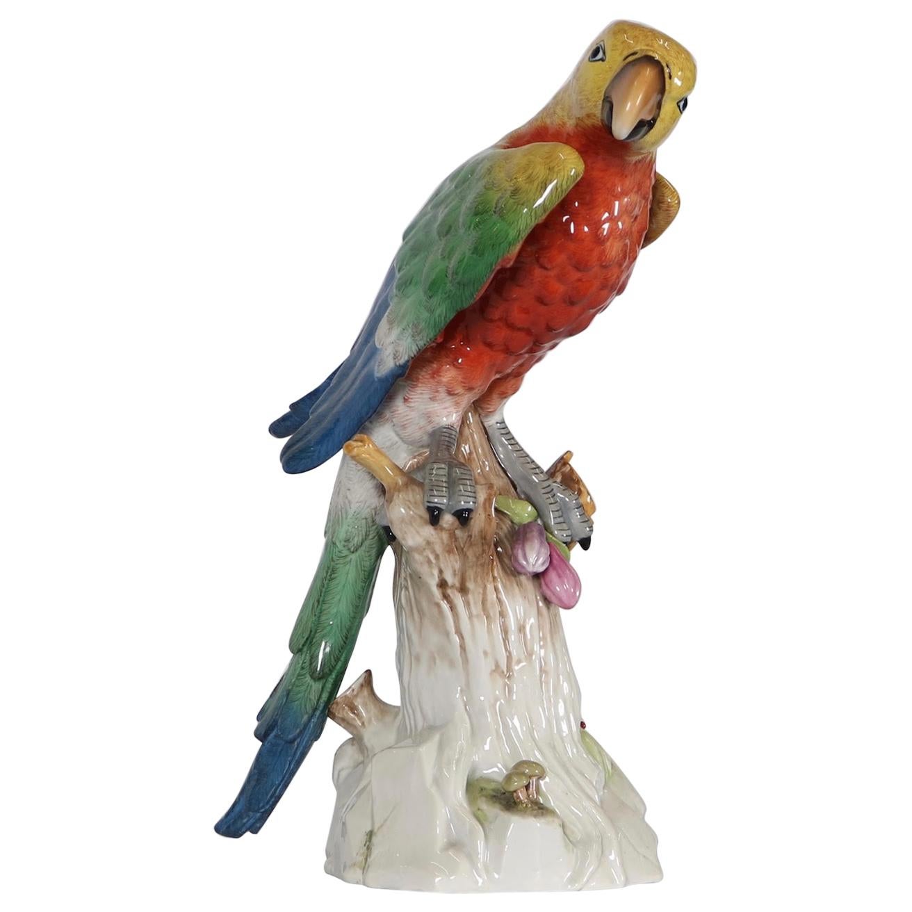 German Meissen Style Porcelain Macaw Parrot Figurine