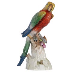 Antique German Meissen Style Porcelain Macaw Parrot Figurine